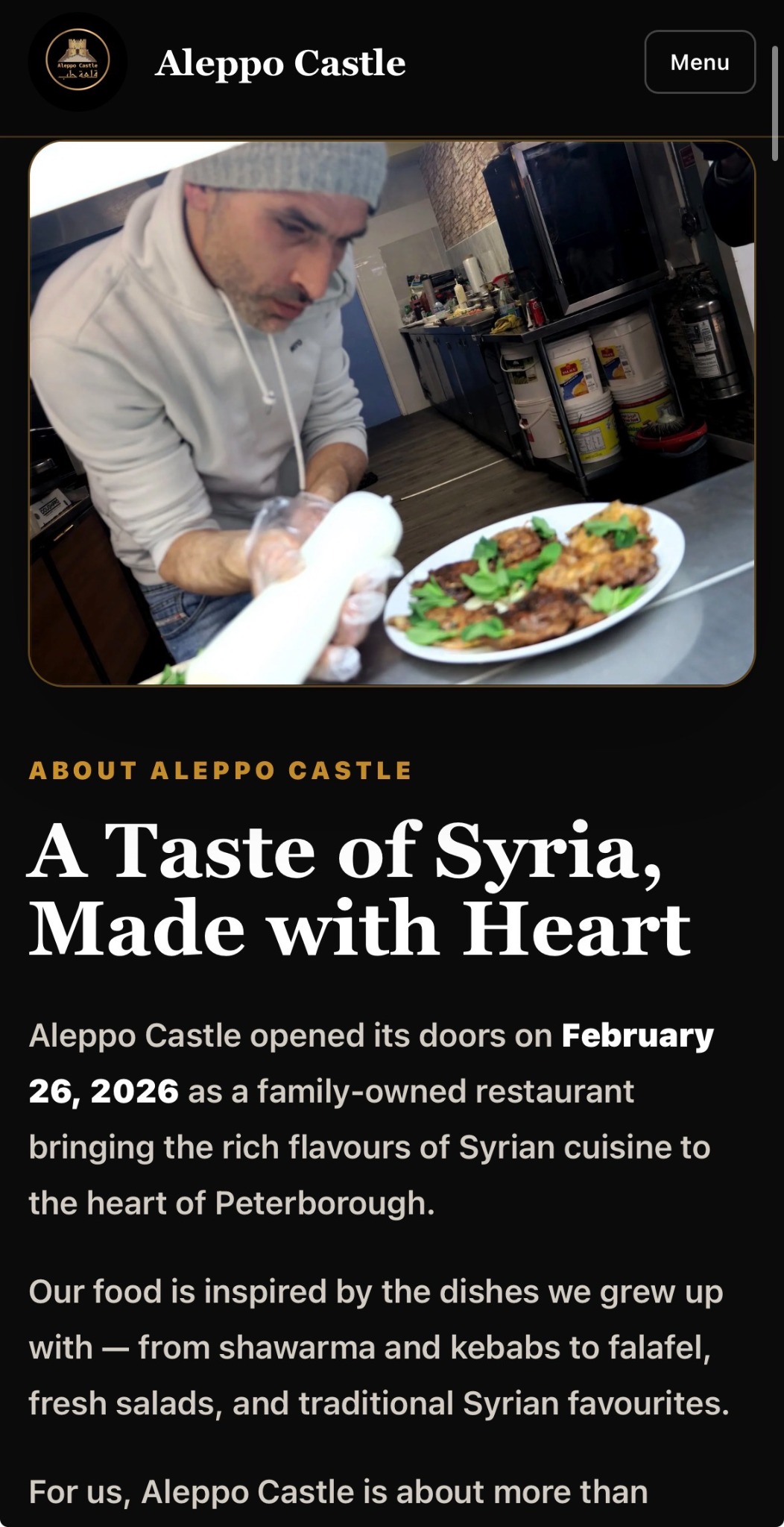 Aleppo Castle mobile about section