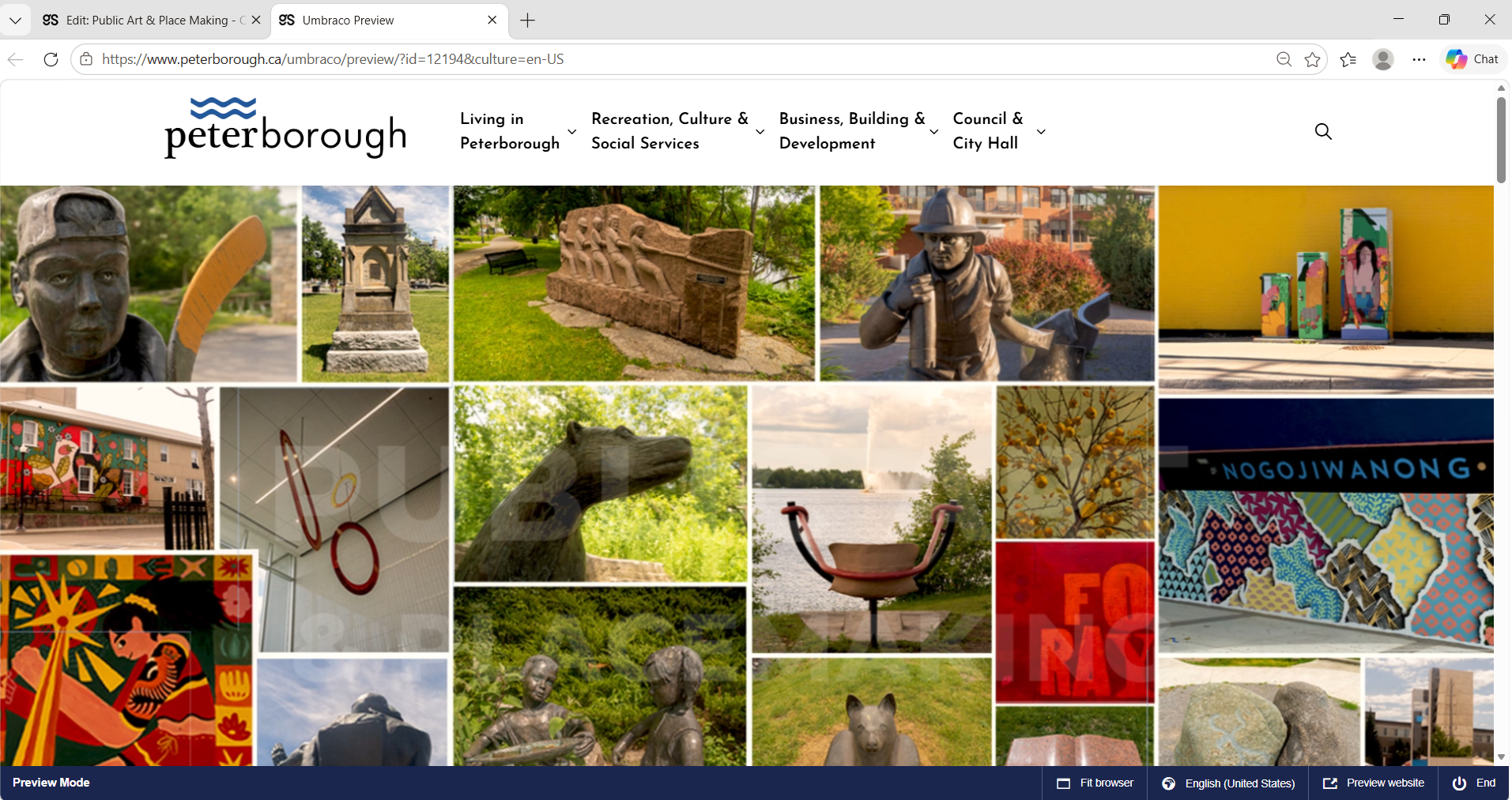 Public Art and Placemaking main page showing a broad selection of public art photographs