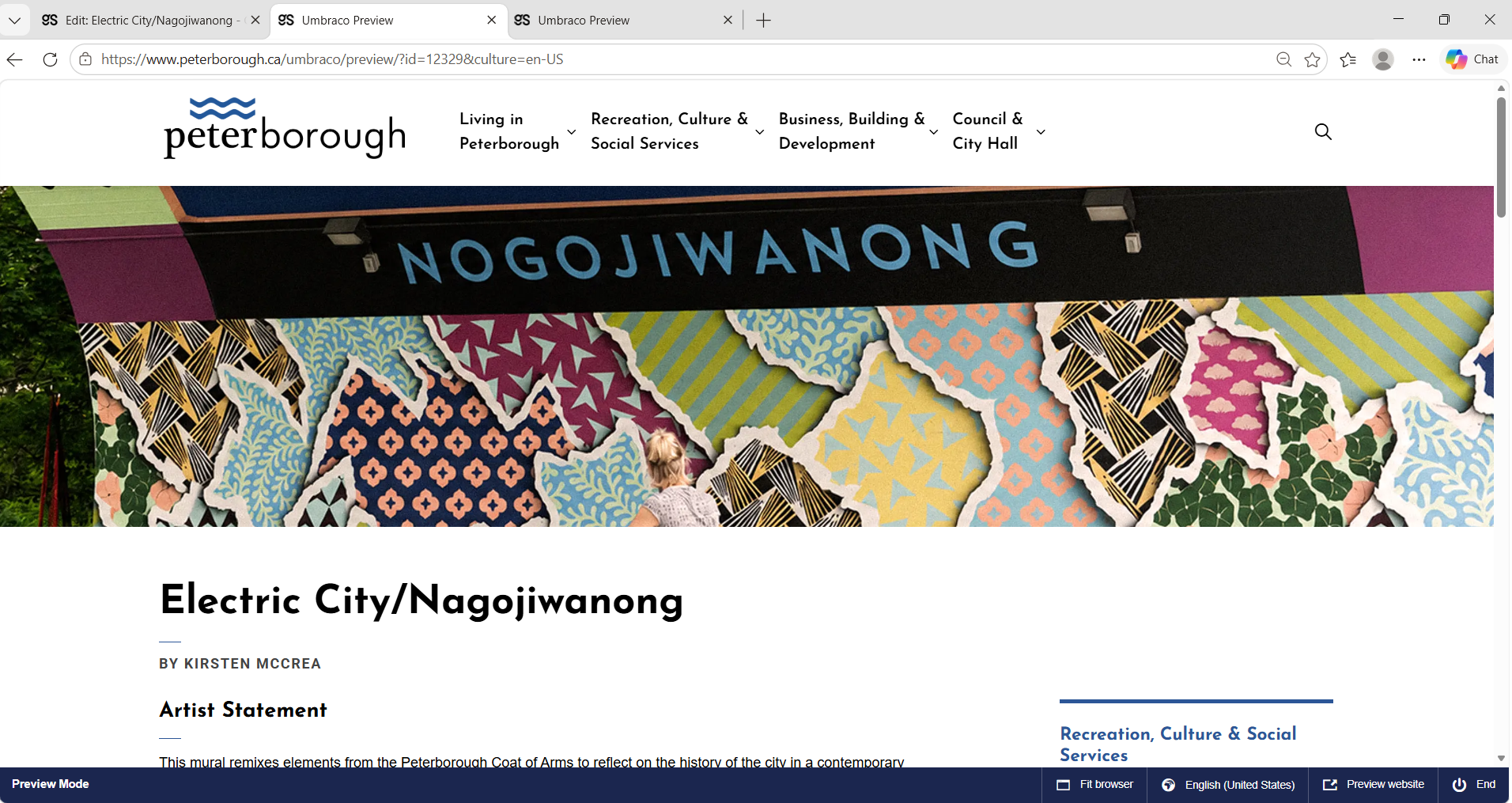 Electric City Nogojiwanong mural public art webpage