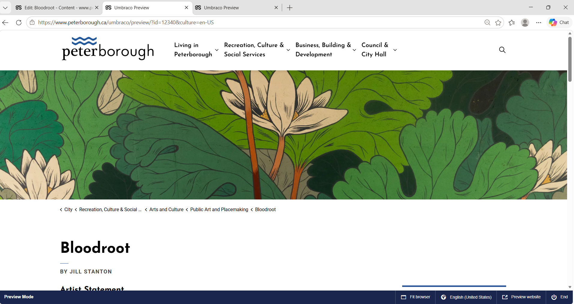 Bloodroot mural public art webpage